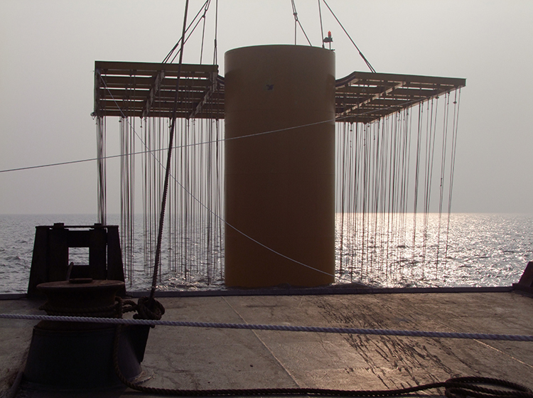 如东中广核风电设备安装1 - 副本 (2).JPG