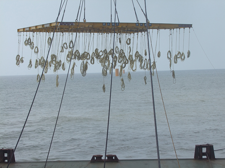 如东中广核风电设备安装9 - 副本 (2).JPG