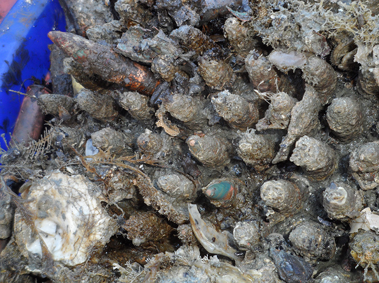 缅甸爆破4 - 副本 (2).JPG